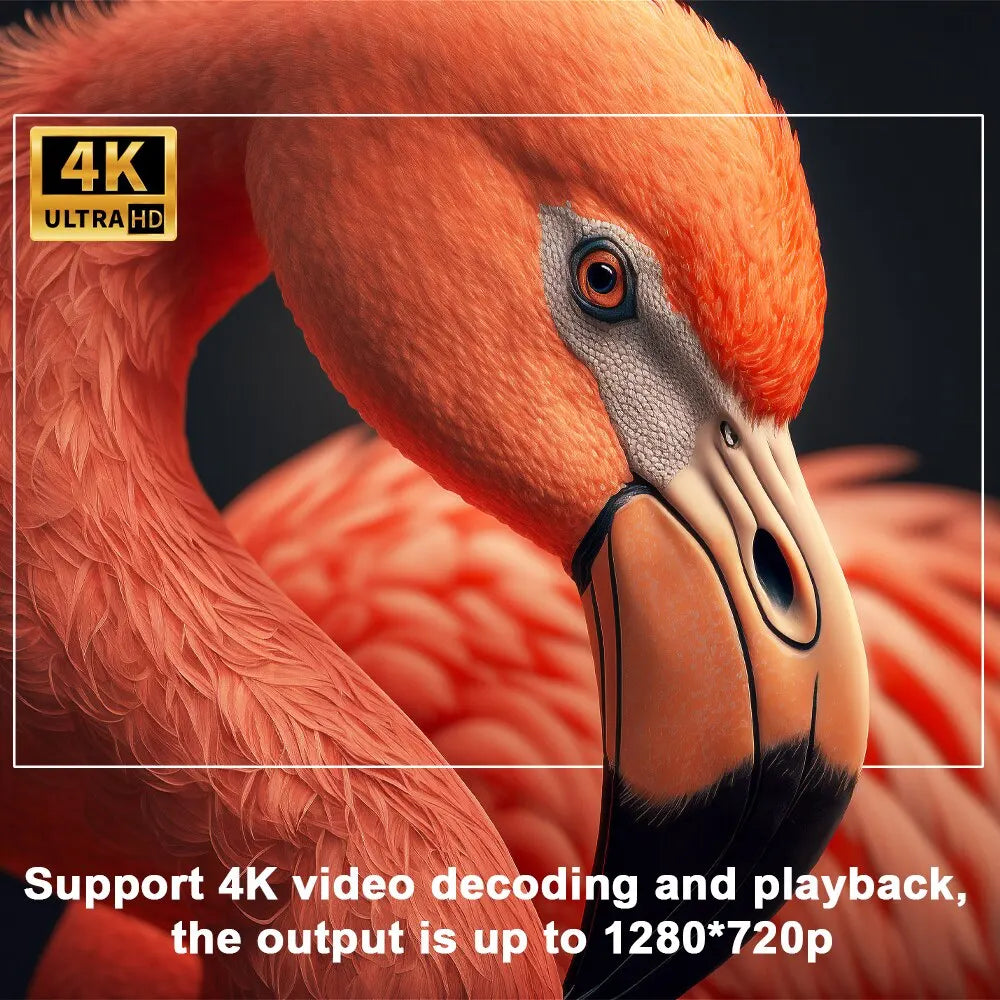ultra 4k supported by xsprojector